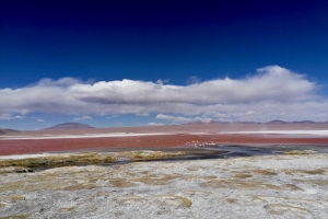 Laguna Colorado