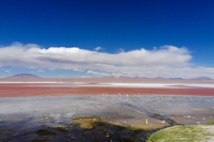 Laguna Colorado