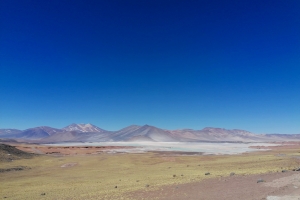 Laguna Salar de Talar