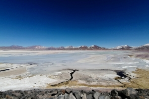 Laguna Salar de Talar