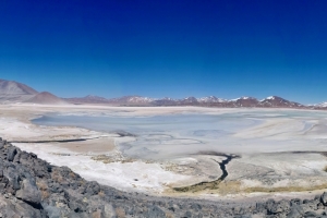 Laguna Salar de Talar