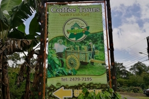 North Fields Coffee Tour