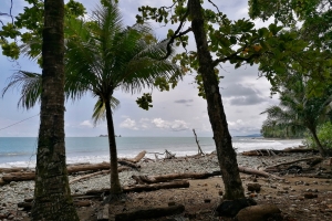 Stillehavet ved den lille strand Playa Pinuela