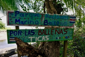 Marino Ballena National Park