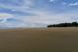 Stranden ved Marino Ballena National Park