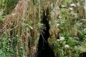 Grotten udefra