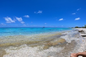 En snorkeltur til land