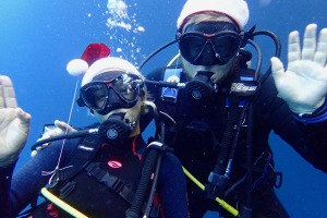 Juledyk