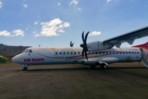 Vores fly