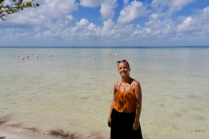 Flamingoer på Punta Coco stranden